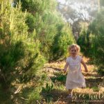 Christmas Mini Sessions with Bree Hulme Photography at the Christmas Tree Farm